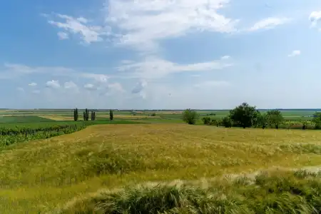 Eladó mezőgazdasági ingatlan, Pázmánd 1757 m² 8.4 M Ft